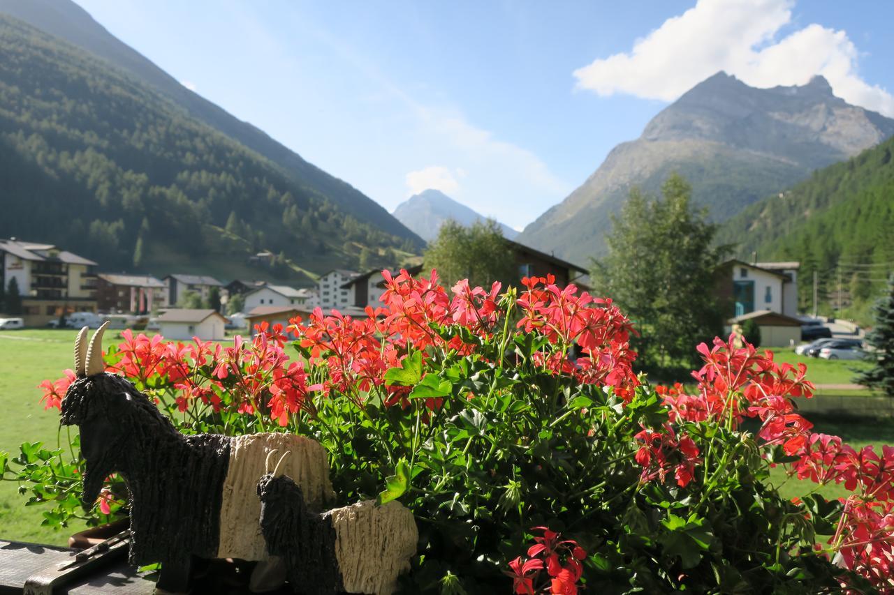Alea * Saas-Grund